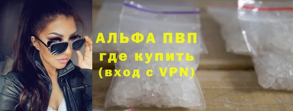 гашик Арсеньев