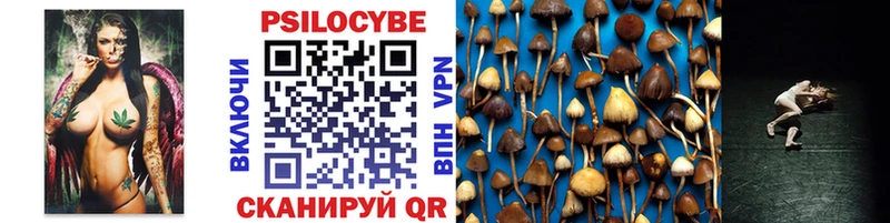 Псилоцибиновые грибы GOLDEN TEACHER  как найти наркотики  blacksprut ссылка  Бабаево 